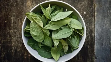 Natural Hair Dye: বাড়িতেই বানান ভেষজ হেয়ার ডাই।