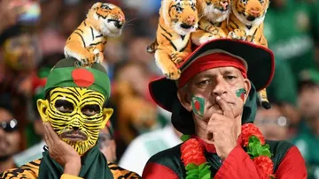 Bangladesh Cricket Fan