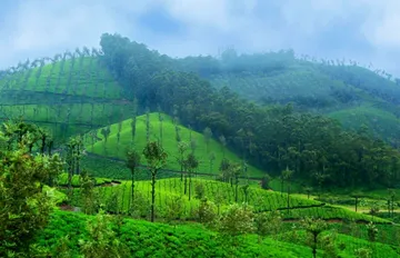 valparai
