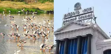 Pallikaranai Marsh Ramsar Site