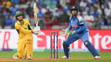 Phoebe Litchfield India vs Australia