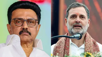 M K Stalin Rahul Gandhi DMK Congress Alliance