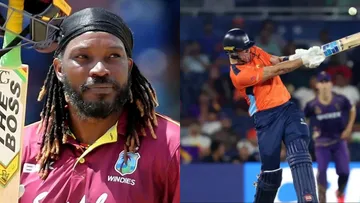 FINN ALLEN BROKE CHRIS GAYLE record hit most sixes in a T20 innings in the history