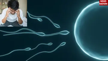 Sperm Count (1)
