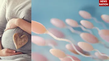 sperm count (2)