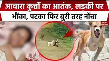 Stray Dogs attack on minor girl