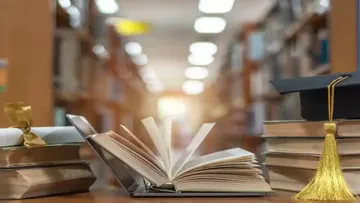 Students got scholarship