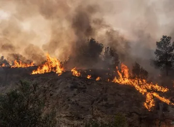 Wildfires burn over 100,000 hectares, prompt evacuations in South Africa's Western Cape