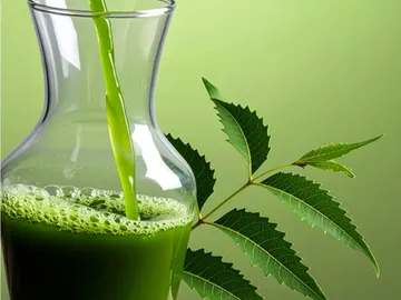 कड़वे नीम के मीठे गुण: जानें नीम के पत्तों के रस के सेवन के फायदे और सावधानियां