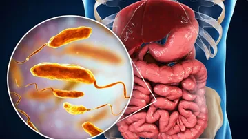 क्या है माइक्रोबायोम? जो सेहतमंद शरीर के लिए है बेहद जरूरी