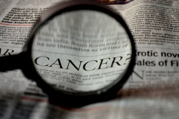 Free Photo: Cancer, pixabay