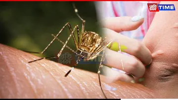 Japanese Encephalitis Continues To Spread: Five In Dhemaji Reported