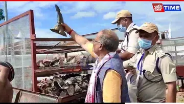 DNA Sampling of Rhino Horns Begins in Kaziranga for Forensic and Conservation Use
