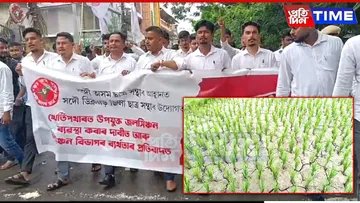 new pt web protest