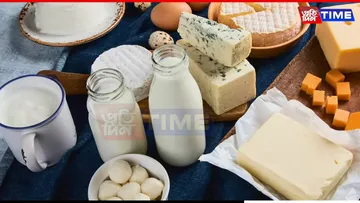 WEB PT dairy