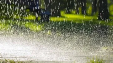 Rain Lashes Parts of Northeast; Mizoram Records Heaviest Showers at 13 cm