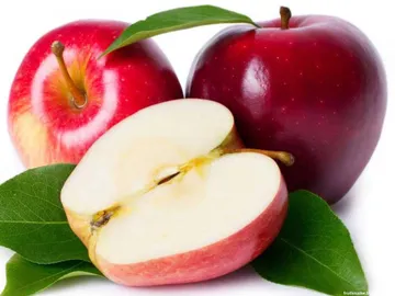 applefruitwww.fruitsname.com