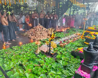 konni kalleli kavu vavu bali