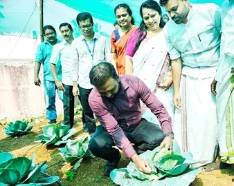 food scaping project