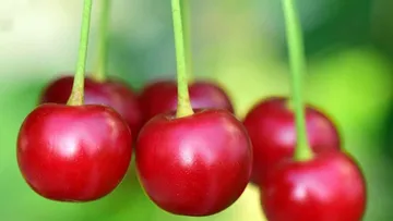 170404-sleep-quality