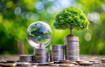 Insolation Energy Reports 127.5% Jump In Net Profit In FY25