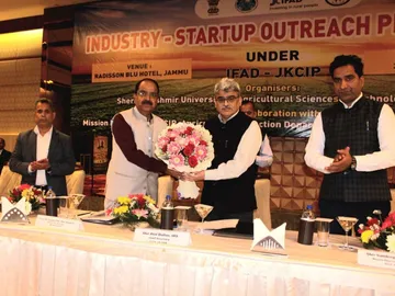JK Startups