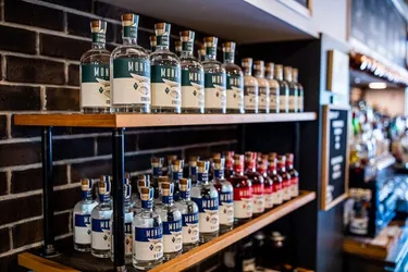 Cole Hofstra Photography 1