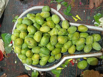 शिवलिंग पर चढ़ा प्रसाद क्यों नहीं करना चाहिए ग्रहण? जानें कारण