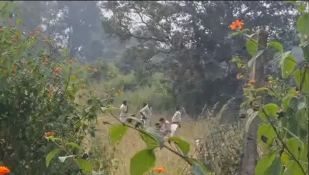 Screenshot 2025-10-25 144148