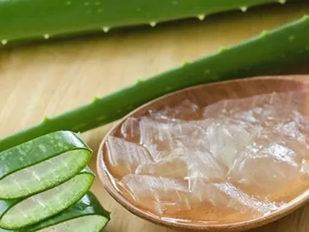 aloevera1