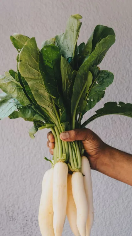 WhatsApp Image 2025-12-03 at 12.57.36 PM