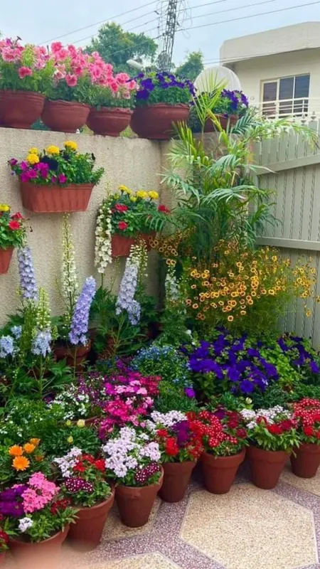 Winter plant care tips