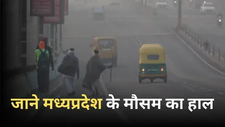 mp weather update 12 jan