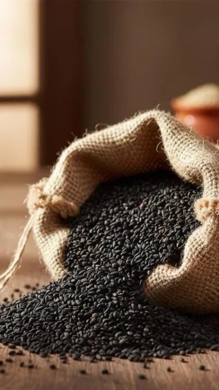 WhatsApp Image 2026-01-23 at 12.41.27 PM