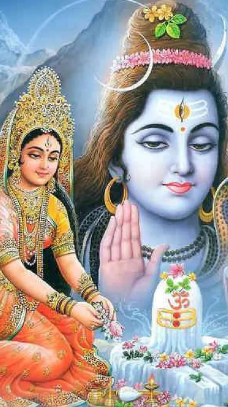 web story template (43)