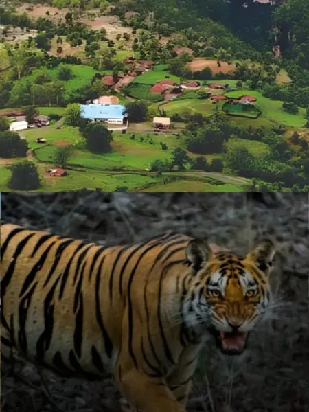 फरवरी में EXPLORE करें एमपी की सुंदरता