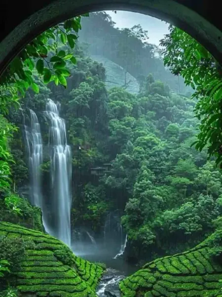 8d8532e70a75901d62a18ceca01f3915