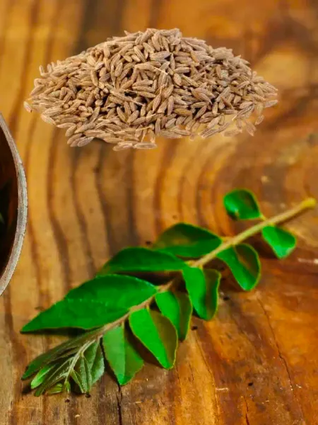 Cumin and curry leaves water benefits