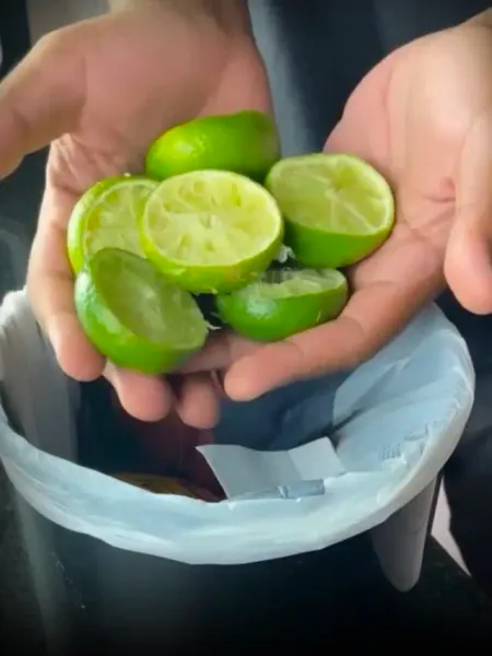 Neembu ke Chilke ka istemaal