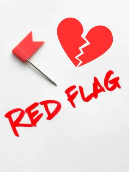 Red Flags in Partner