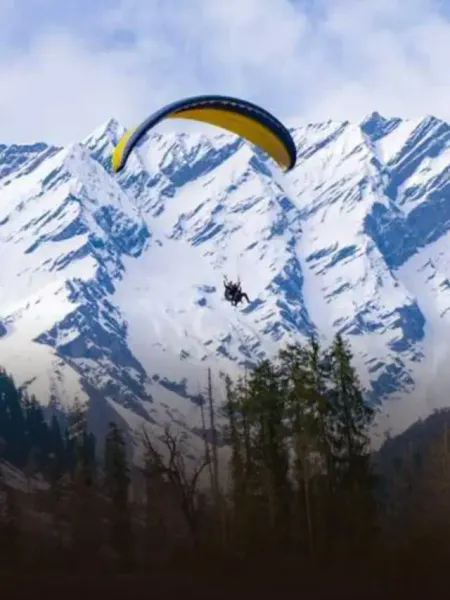 WhatsApp Image 2025-10-28 at 12.23.33 PM (3)