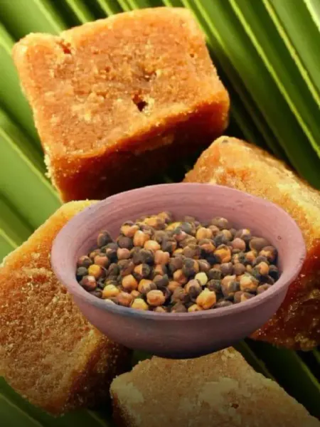 WhatsApp Image 2025-11-18 at 11.48.16 AM (2)