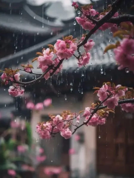 e422477631b0ba2254c5c228594433ed