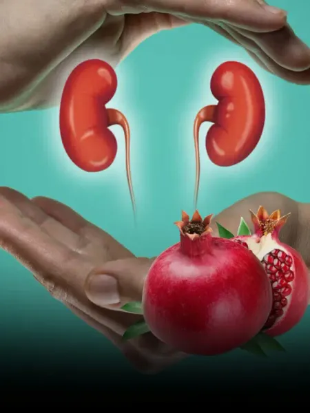 kidney ke liye best fruit