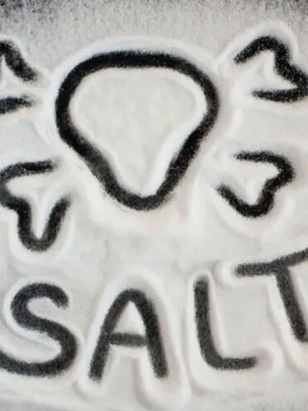 Salt Excess Side Effects Namak khane ke nuksan