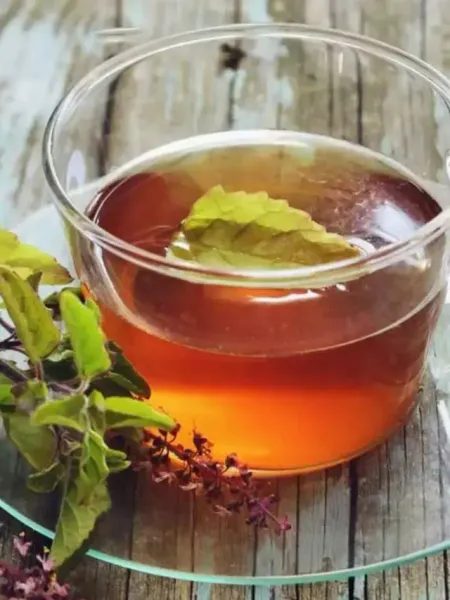 Tulsi Tea Health Benefits