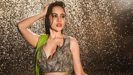 Urfi Javed is being called 'The Style Maverick' of 2025