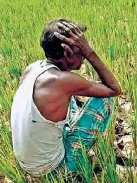 158995-farmer-ians