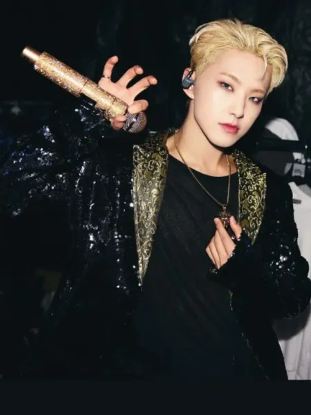 SEVENTEEN Hoshi Shares BTS Pictures of CARATLAND Fan Meeting