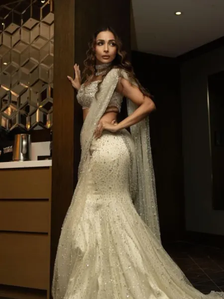 Malaika Arora steals Hearts in Classic Shimmer Saree